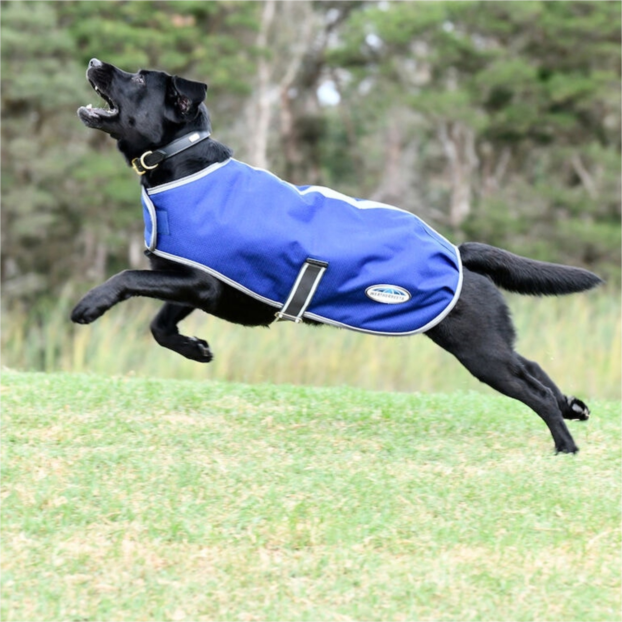 Weatherbeeta Comfitec Premier Free Parka Dog Coat - Dark Blue